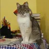 Отзыв от Александра Постникова